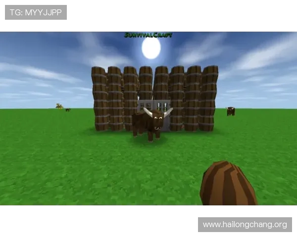 网上真钱赌场热门游戏排行榜及玩家评价分析