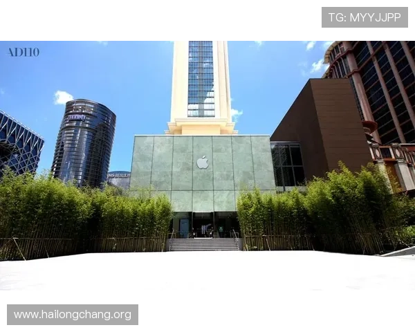 澳门娱乐城旗舰厅官方地址官方最新版本，保障玩家账号安全与游戏顺畅的官方入口指南
